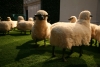Francois-Xavier Lalanne&#039;s sheep sculptures.