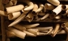 Ivory from African elephants.