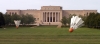The Nelson-Atkins Museum of Art.