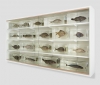 Damien Hirst&#039;s formaldehyde fish were offered by White Cube.