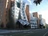 MIT's Frank Gehry-designed Stata Center.