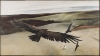 Andrew Wyeth's 'Soaring,' 1942-1950.