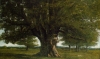Detail of Gustave Courbet's "Le Chêne de Flagey (The Flagey Oak Tree)," 1864.