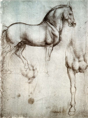 A study of a horse from one of Leonardo da Vinci&#039;s journals.